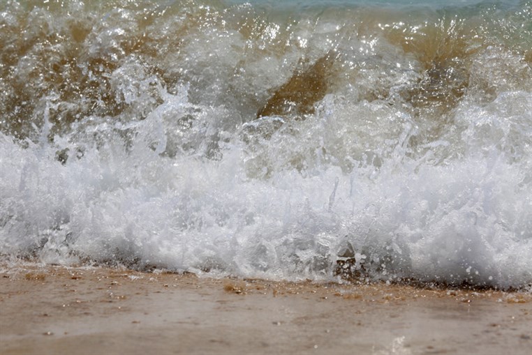 Edde Sands on Thursday 